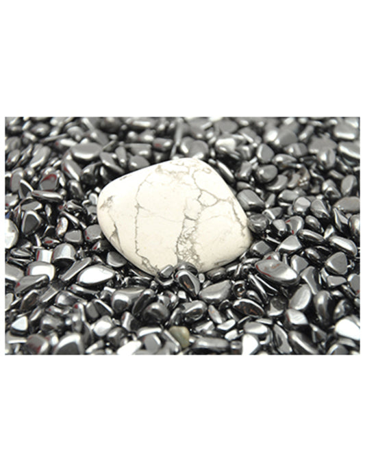 Image for abalone-ontlaadschelp_1.jpg