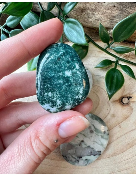 Image for agaat-boom-zaksteen_1.jpg