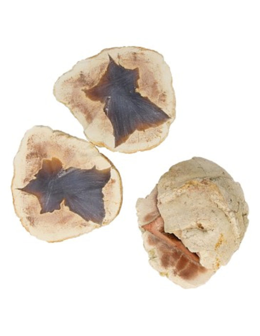 Image for agaat-ster-paar-2-3-cm-australi_1.jpg