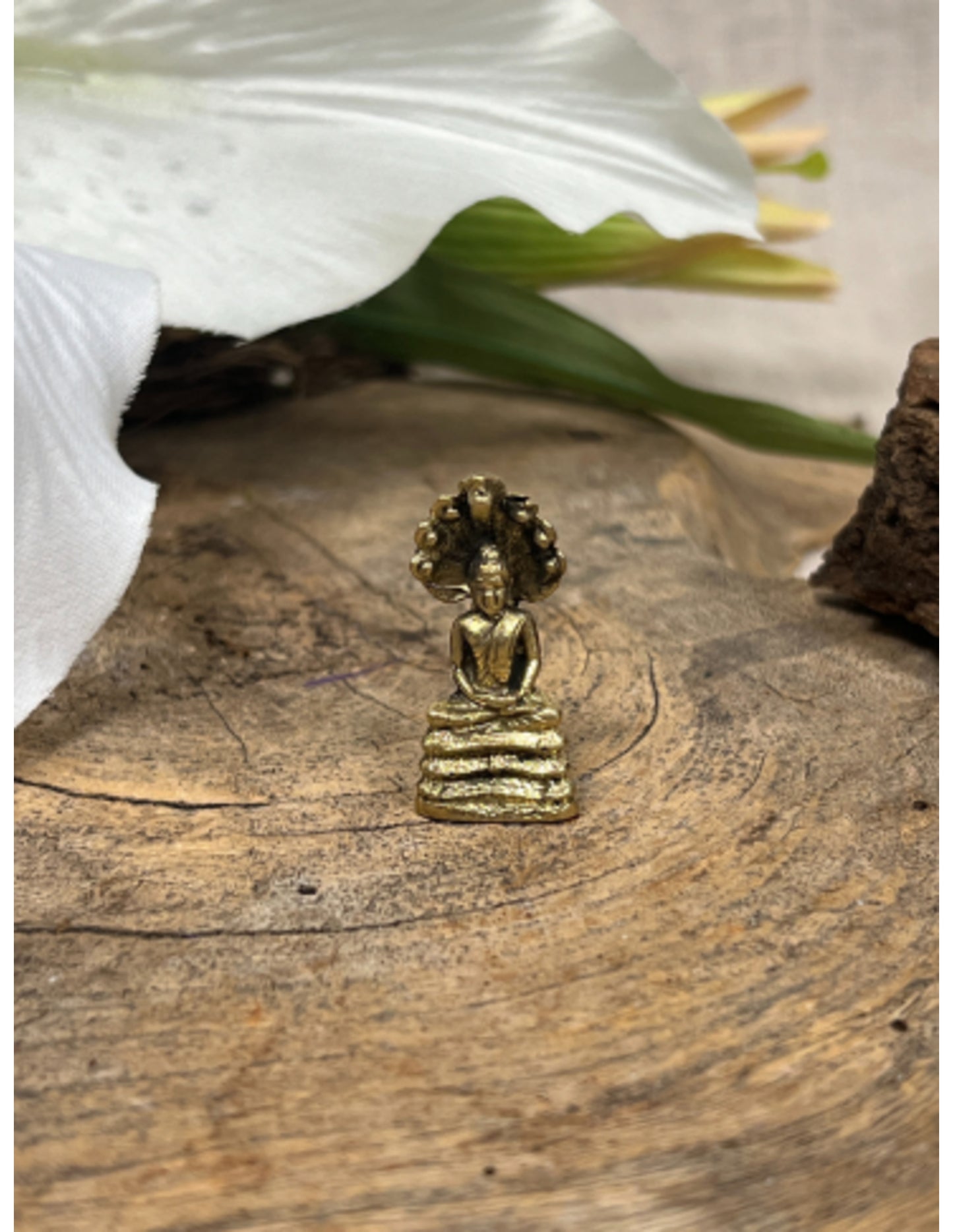 Image for boeddha-beschermd-door-naga-bronzen-beeldje-klein_3.jpg
