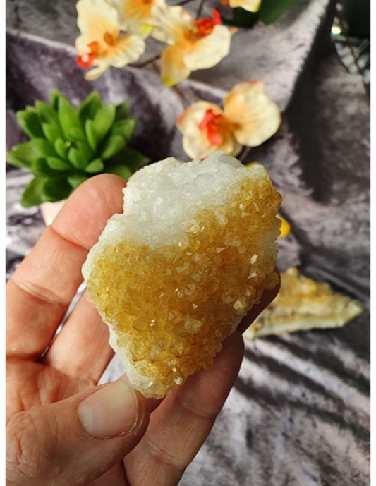 Image for citrien-brazili-ruw-100-150-gram-verhit_1.jpg