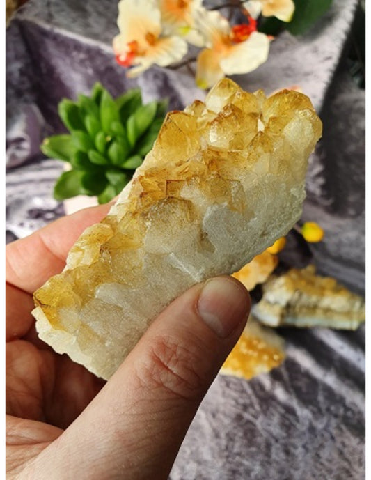 Image for citrien-brazili-ruw-200-250-gram-verhit_1.jpg