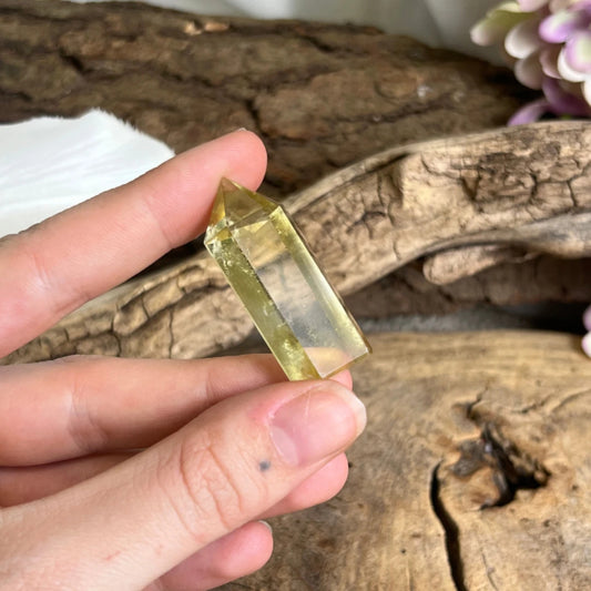 Image for citrien-puntje-verhit-10-20-gram_1.jpg