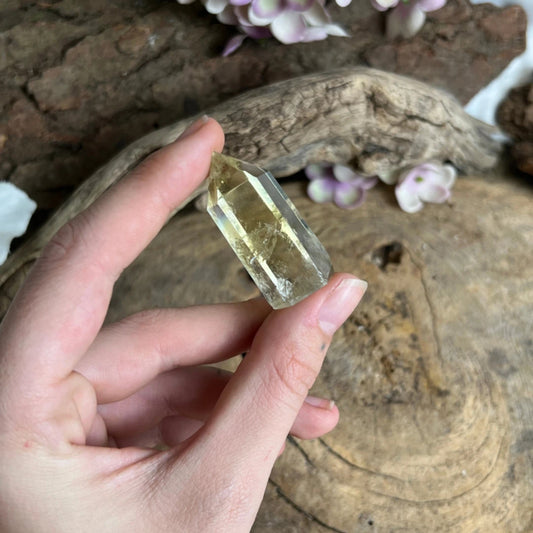 Image for citrien-puntje-verhit-20-30-gram_1.jpg