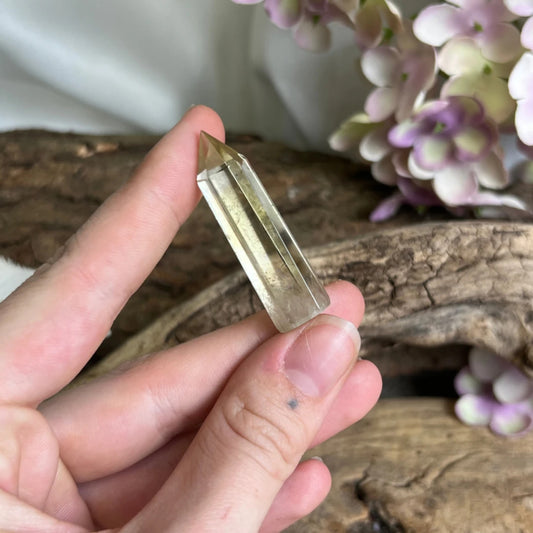 Image for citrien-puntje-verhit-3-10-gram_1.jpg