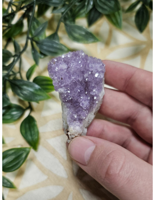 Image for doosje-amethist-gekristalliseerd_1.jpg