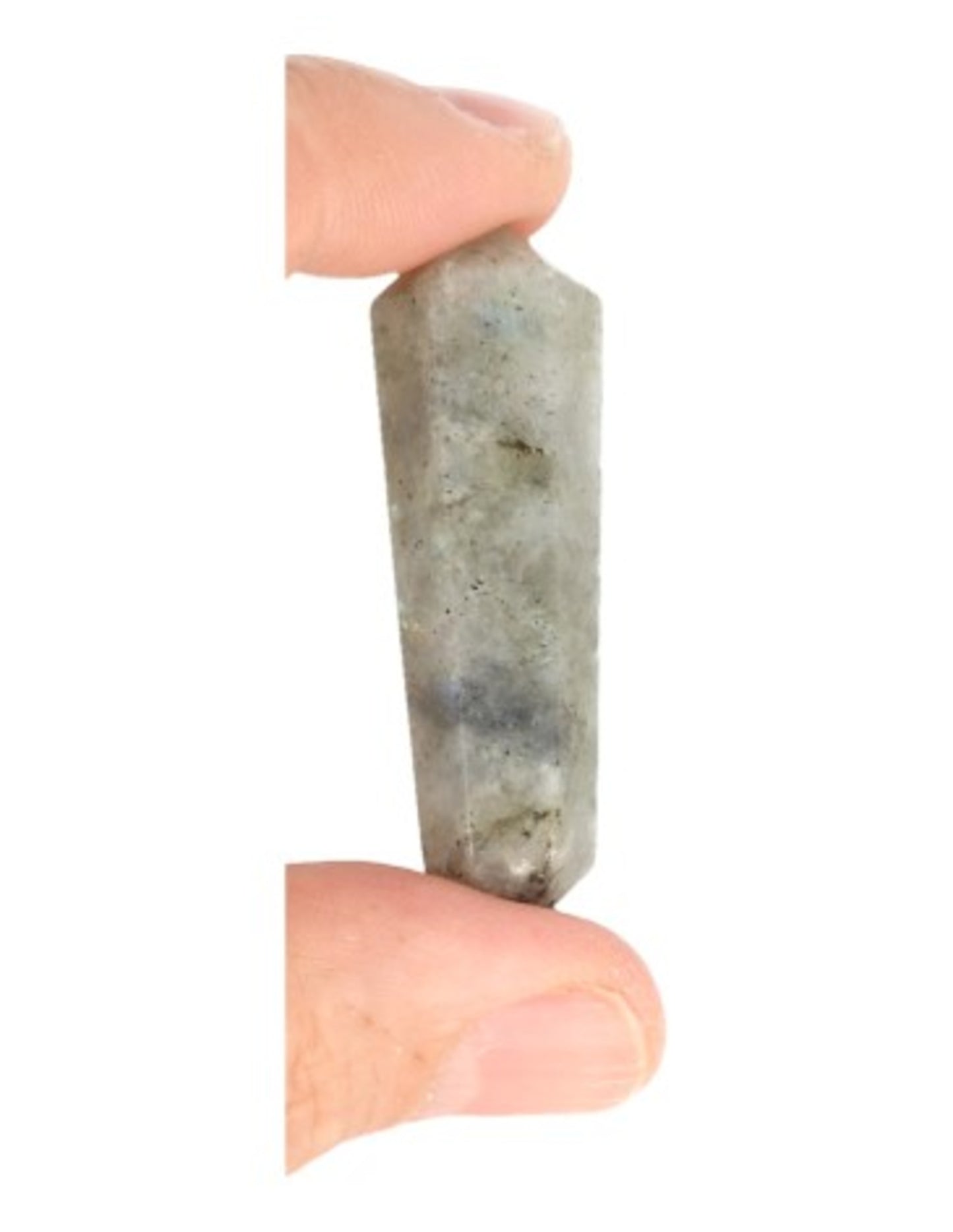 Image for dubbeleinder-50-mm-labradoriet_2.jpg