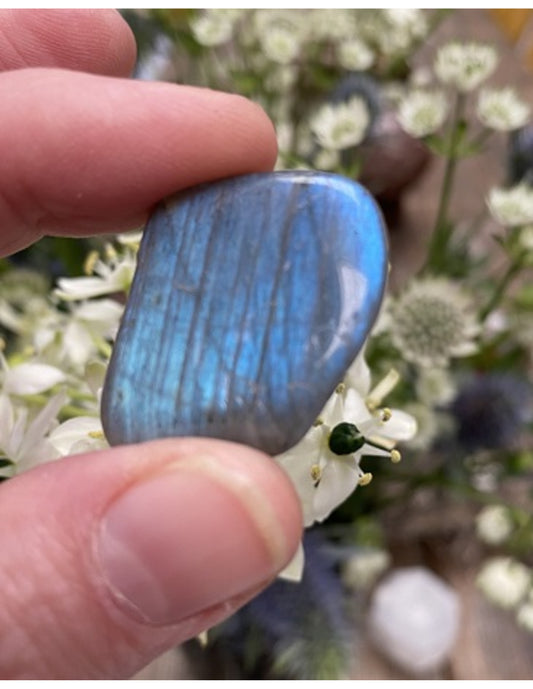 Image for labradoriet-ab-3-st-trommelstenen-mt3_1.jpg