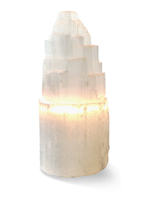 Image for seleniet-lamp-xl-40-cm-incl-elektra_1.jpg