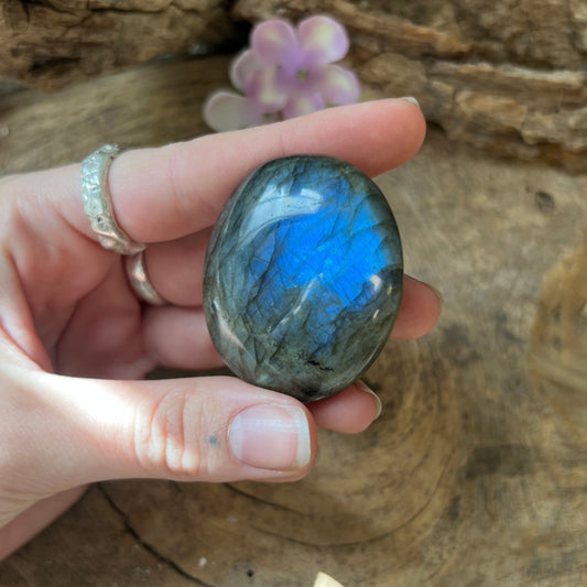 Image for trommelsteen-1-st-labradoriet-a-jumbo-50-70-gram_1.jpg