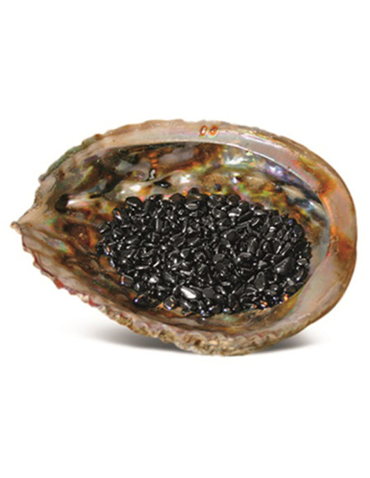Image for abalone-ontlaadschelp.jpg