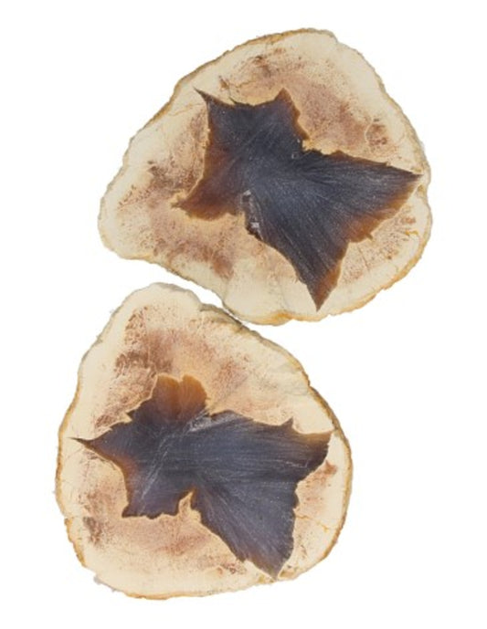 Image for agaat-ster-paar-2-3-cm-australi.jpg