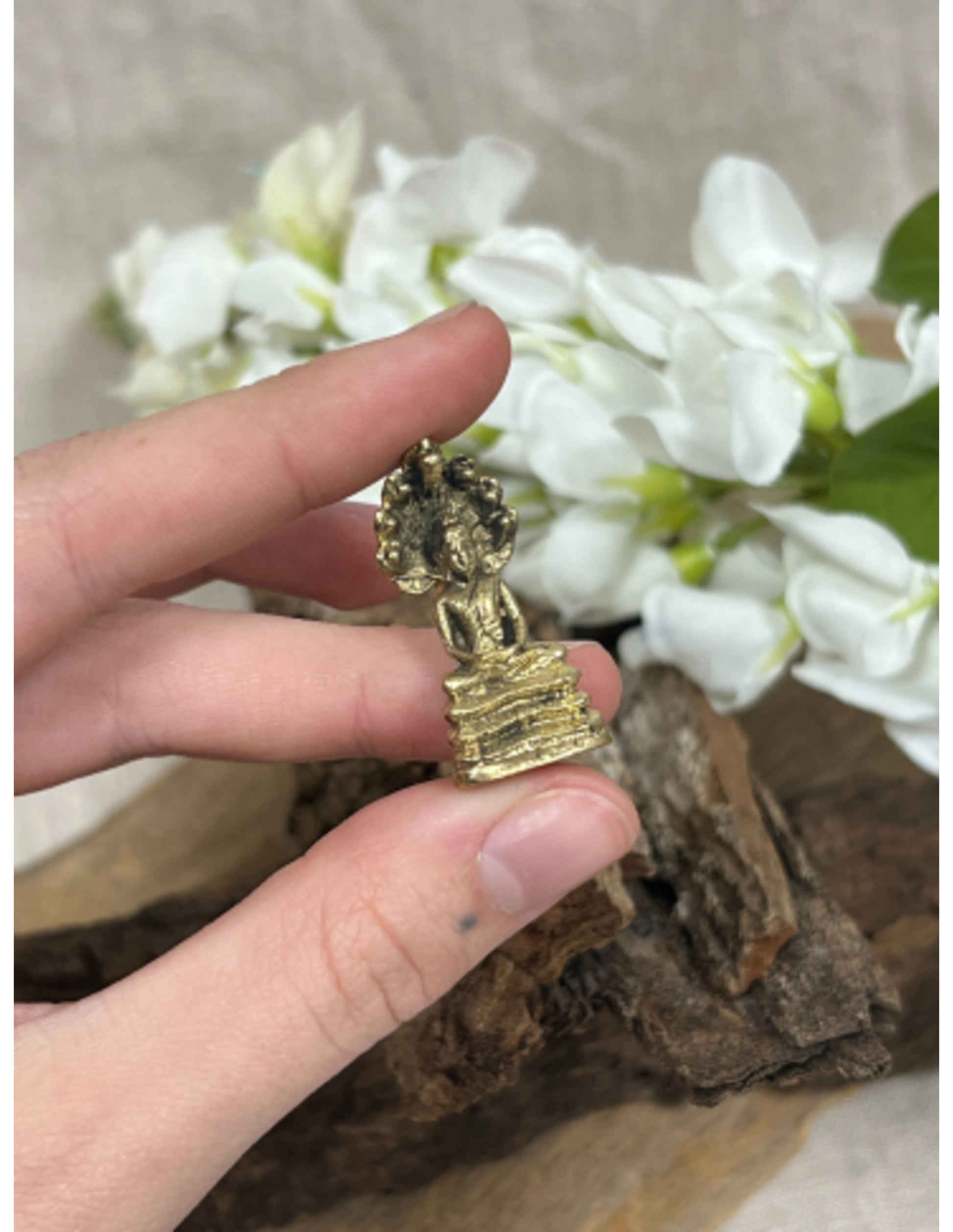 Image for boeddha-beschermd-door-naga-bronzen-beeldje-klein_1.jpg