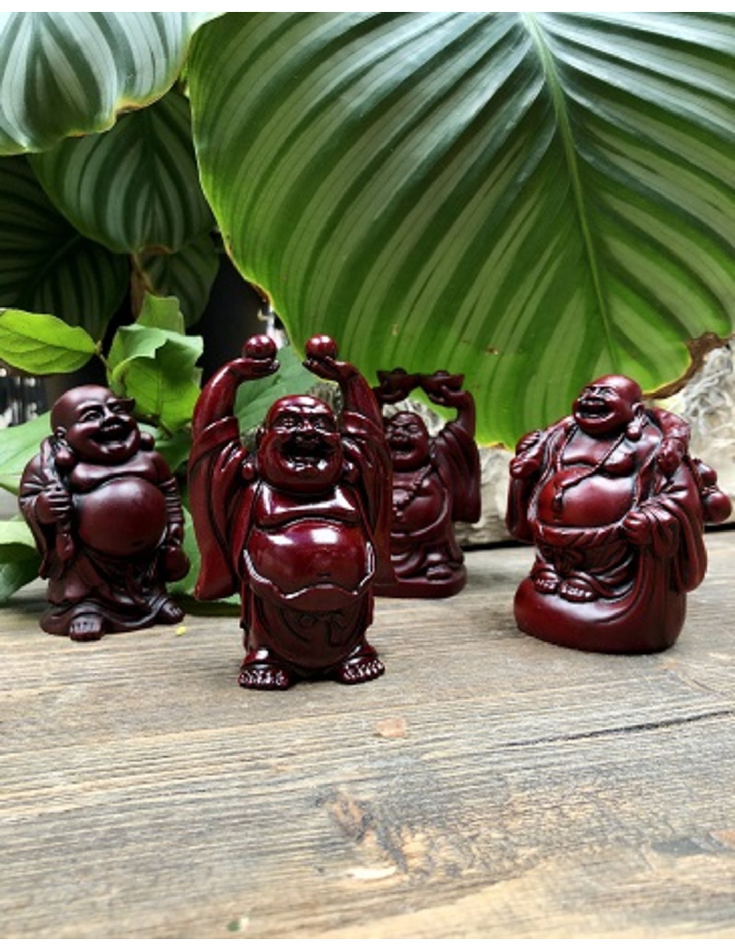 Image for boeddha-rood-9-cm-staand-met-kruik_3.jpg