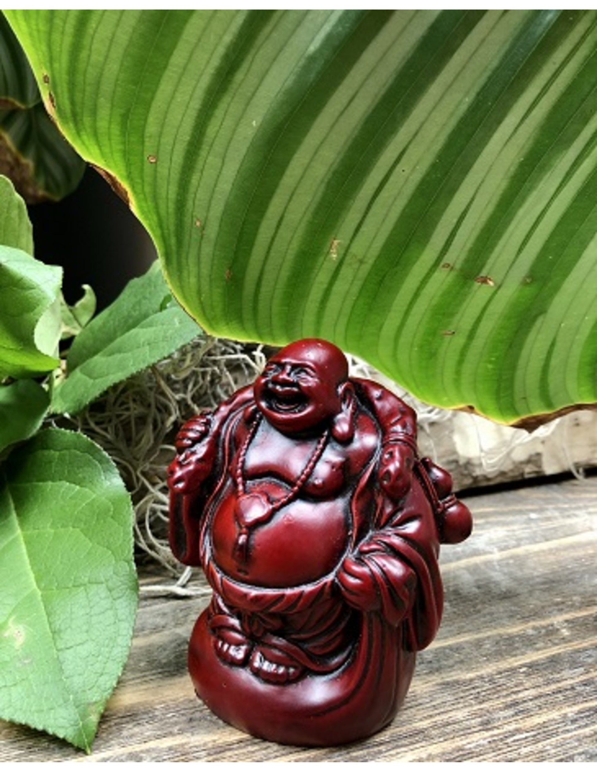 Image for boeddha-rood-9-cm-staand-met-kruik_2.jpg