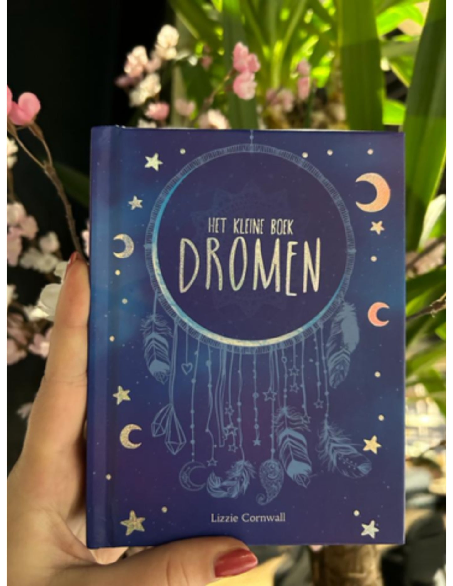 Image for boek-dromen-het-kleine-boek_3.jpg