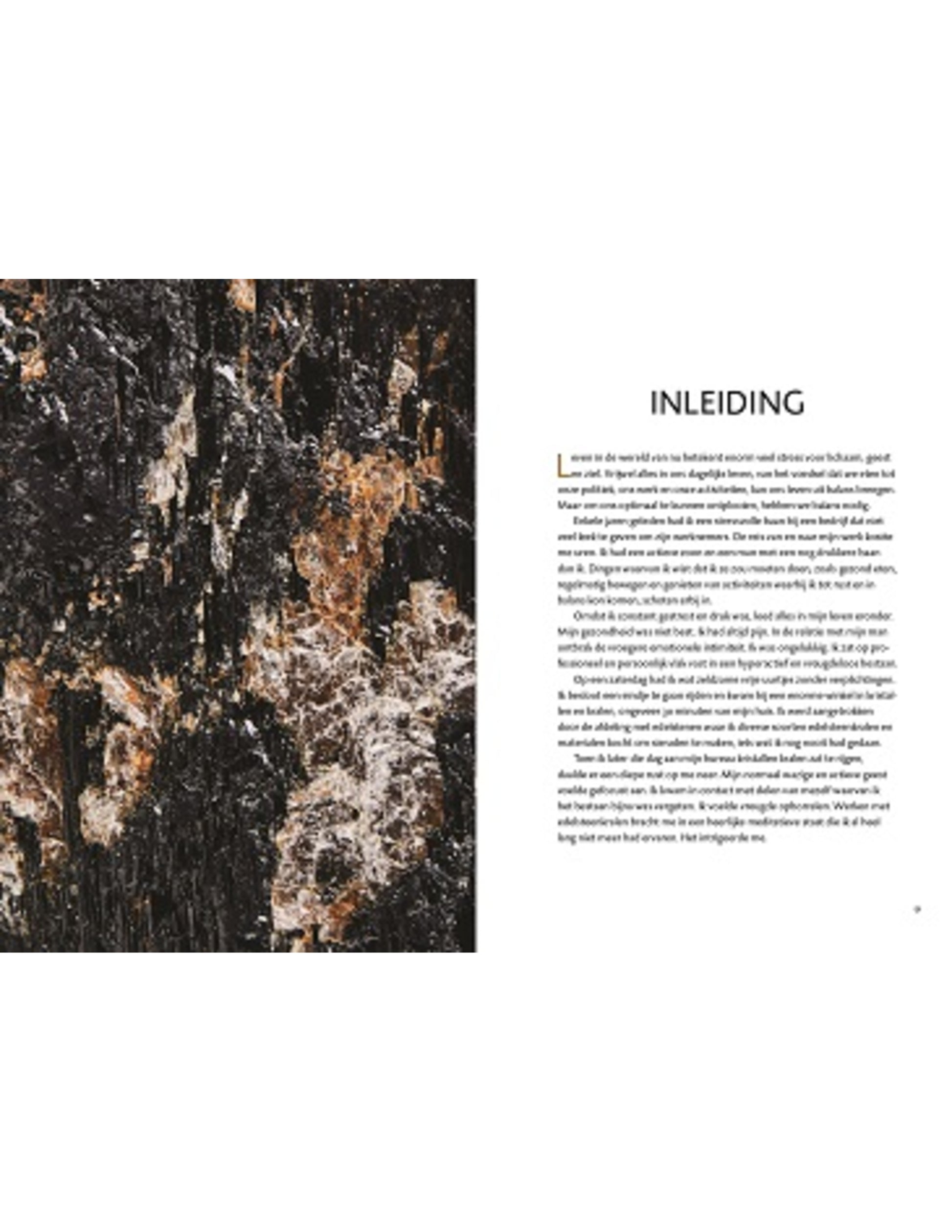 Image for boek-kristallengids-voor-beginners_2.jpg