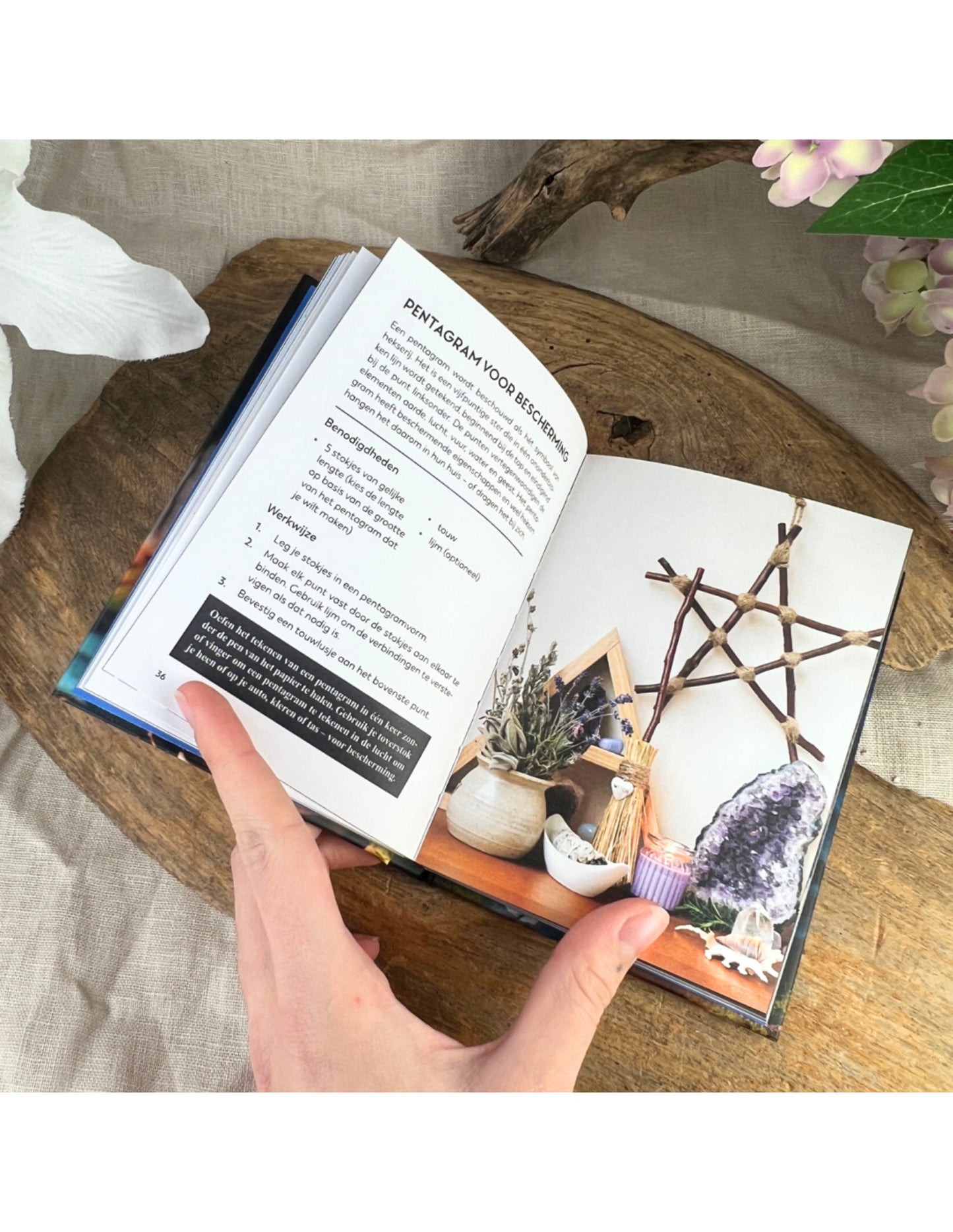 Image for boek-moderne-heks-het-kleine-boek_1.jpg