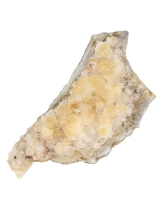 Image for citrien-brazili-ruw-150-200-gram-verhit.jpg