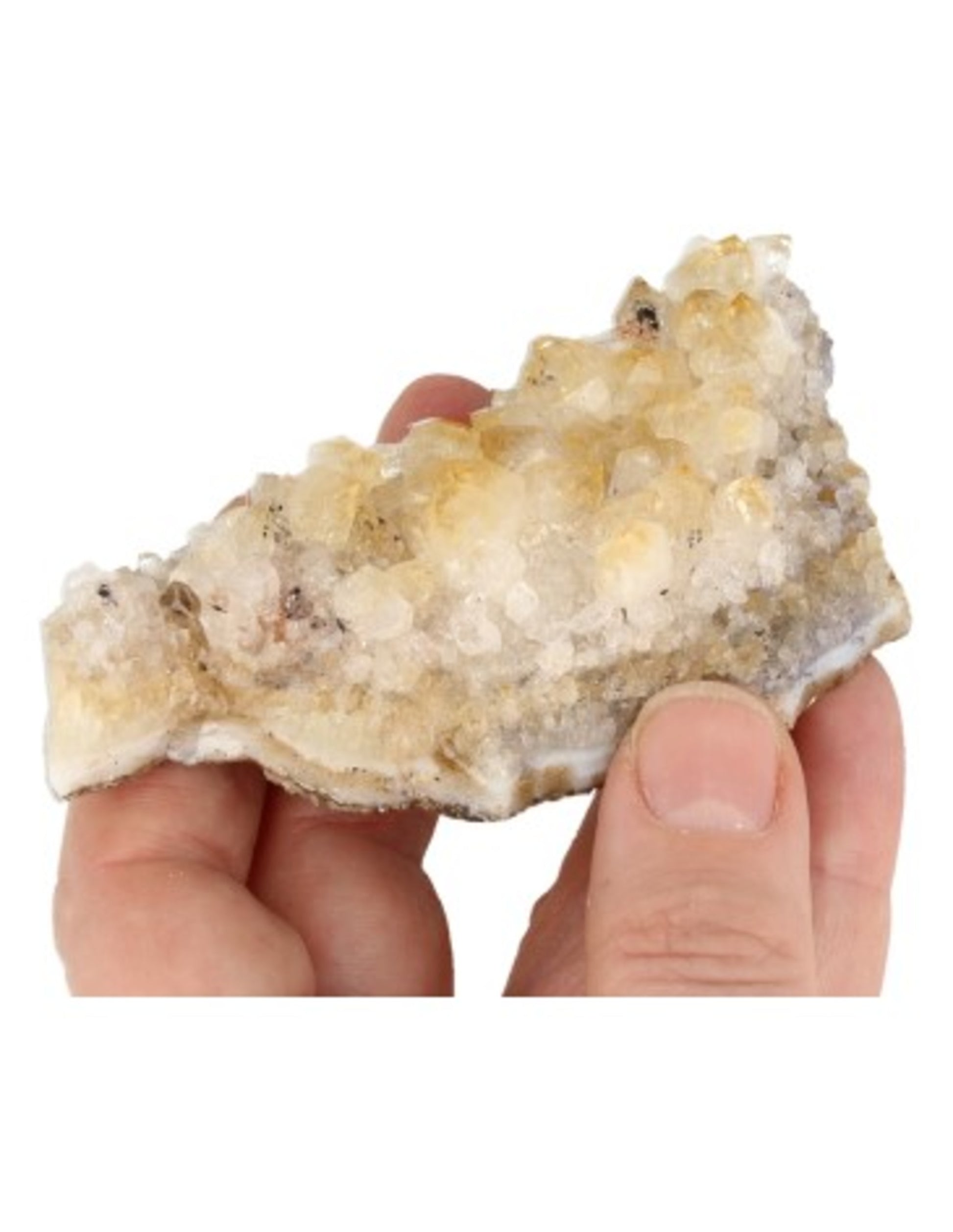 Image for citrien-brazili-ruw-150-200-gram-verhit_2.jpg