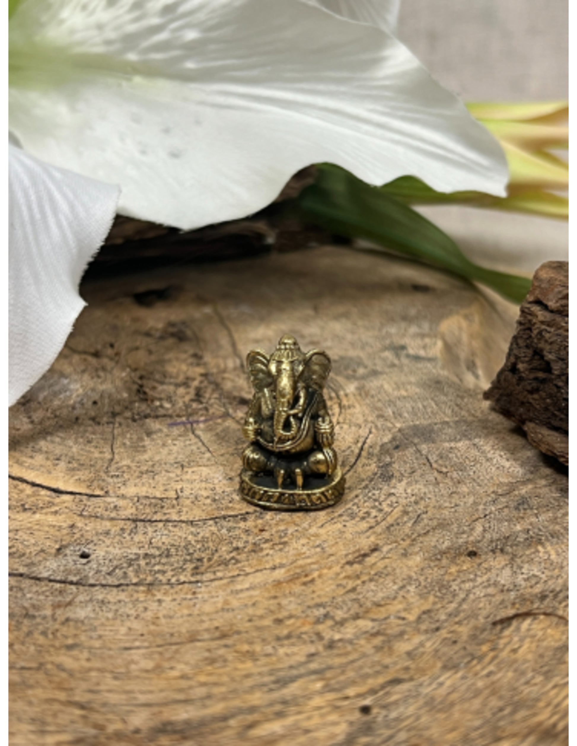 Image for ganesha-bronzen-beeldje-klein_3.jpg