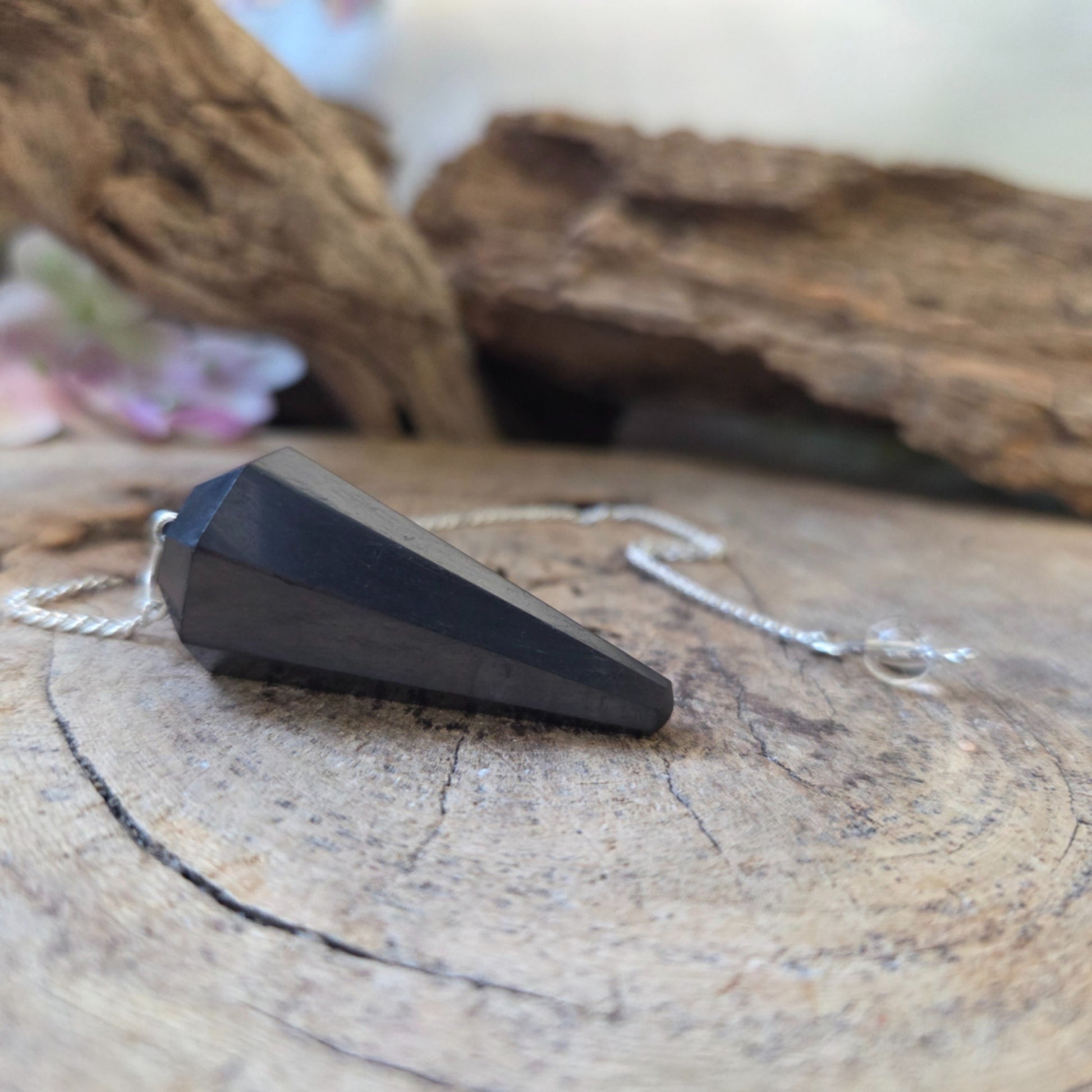 Image for pendel-facet-shungit_3.jpg