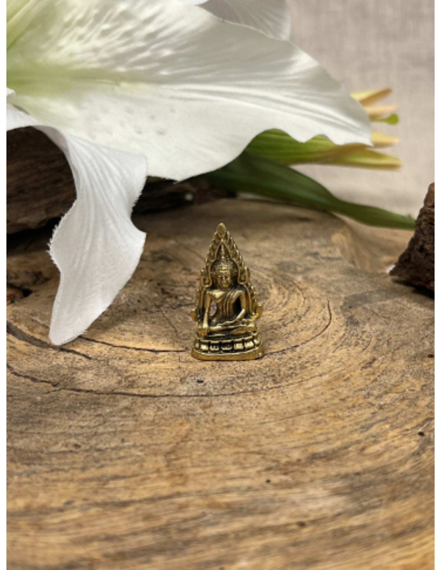 Image for thaise-boeddha-op-lotus-bronzen-beeldje-klein_3.jpg